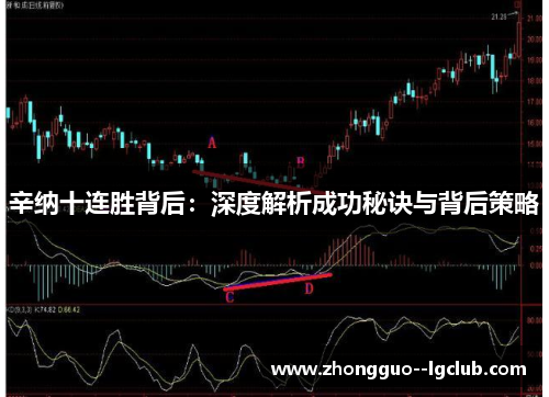 辛纳十连胜背后：深度解析成功秘诀与背后策略