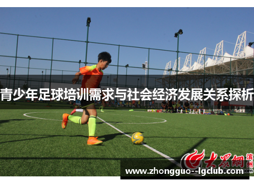 青少年足球培训需求与社会经济发展关系探析